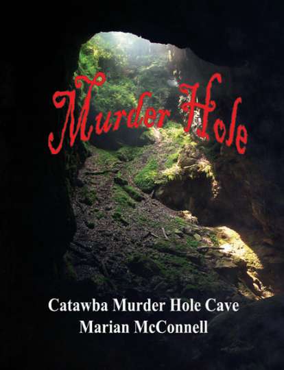 Murder Hole book image